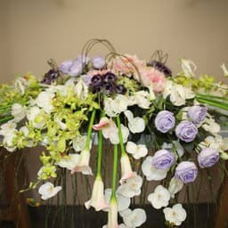 Flora Seda International Inc.