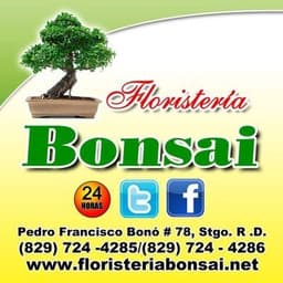 Floristería Bonsai RD