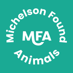 Michelson Found Animals