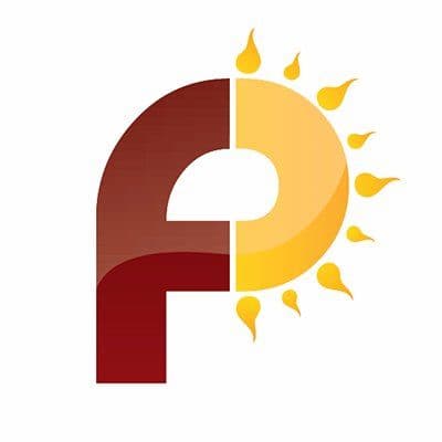 Future Point India color logo