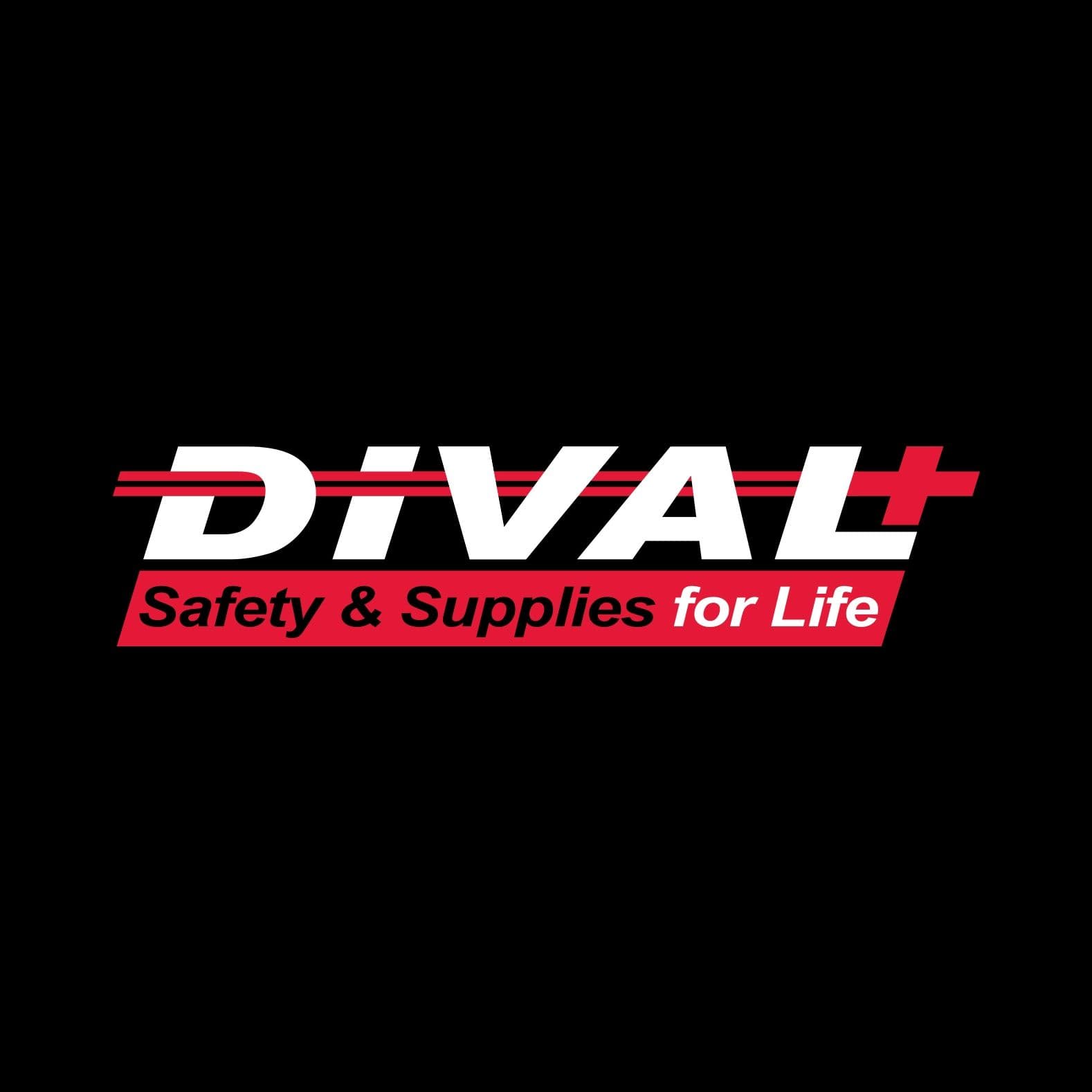 DiVal Safety Equipment color logo