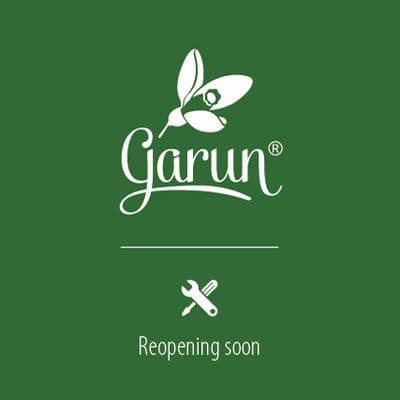 Garun.Am color logo