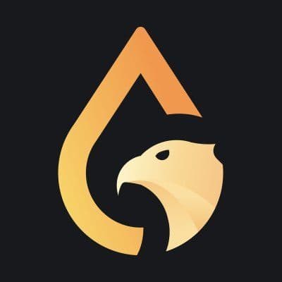 Gashawk.{Eth color logo