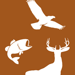 Georgia DNR Wildlife