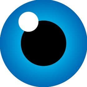 GlobalSign color logo