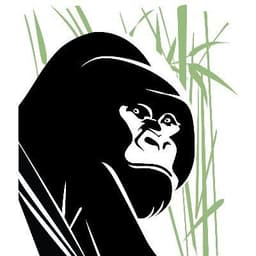 Gorilla Doctors