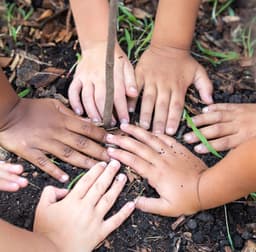 The Green Garden Child Development Center