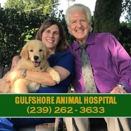 Gulfshore Animal Hospital