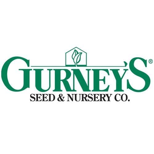 Gurney's color logo