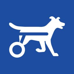 Walkin' Pets