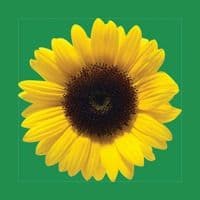 Hidden Disabilities Sunflower