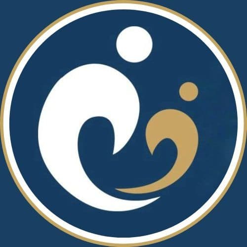 Healthcare Ireland Group color logo