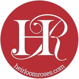 – Heirloom Roses