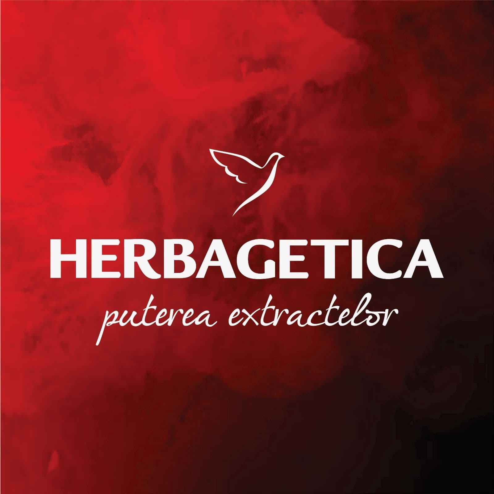 Herbagetica color logo