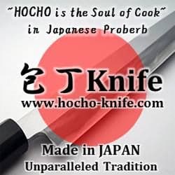 Hocho Knife