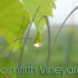 Holmfirth Vineyard
