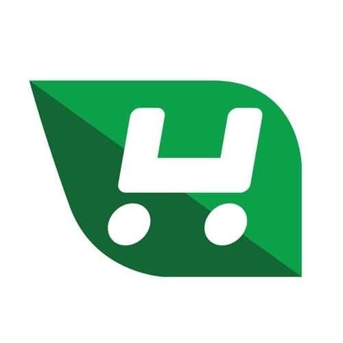 Homevan color logo