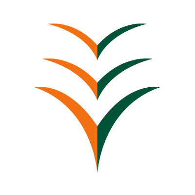 Ibom Air color logo