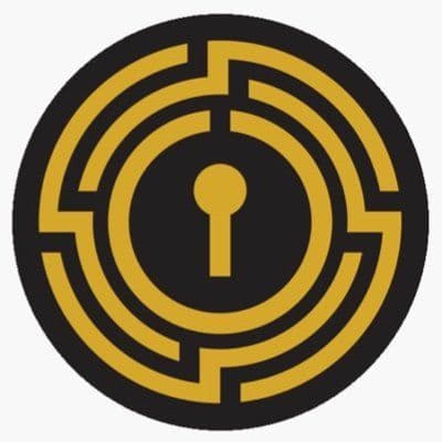 Icoin color logo