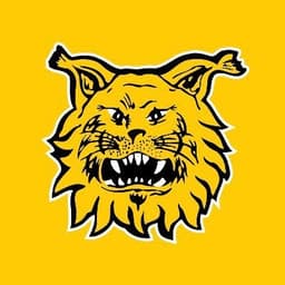 Ilves Football