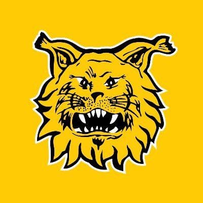 Ilves Football color logo