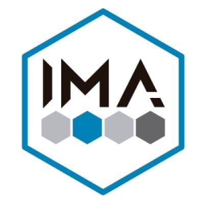 Imagina ITs color logo