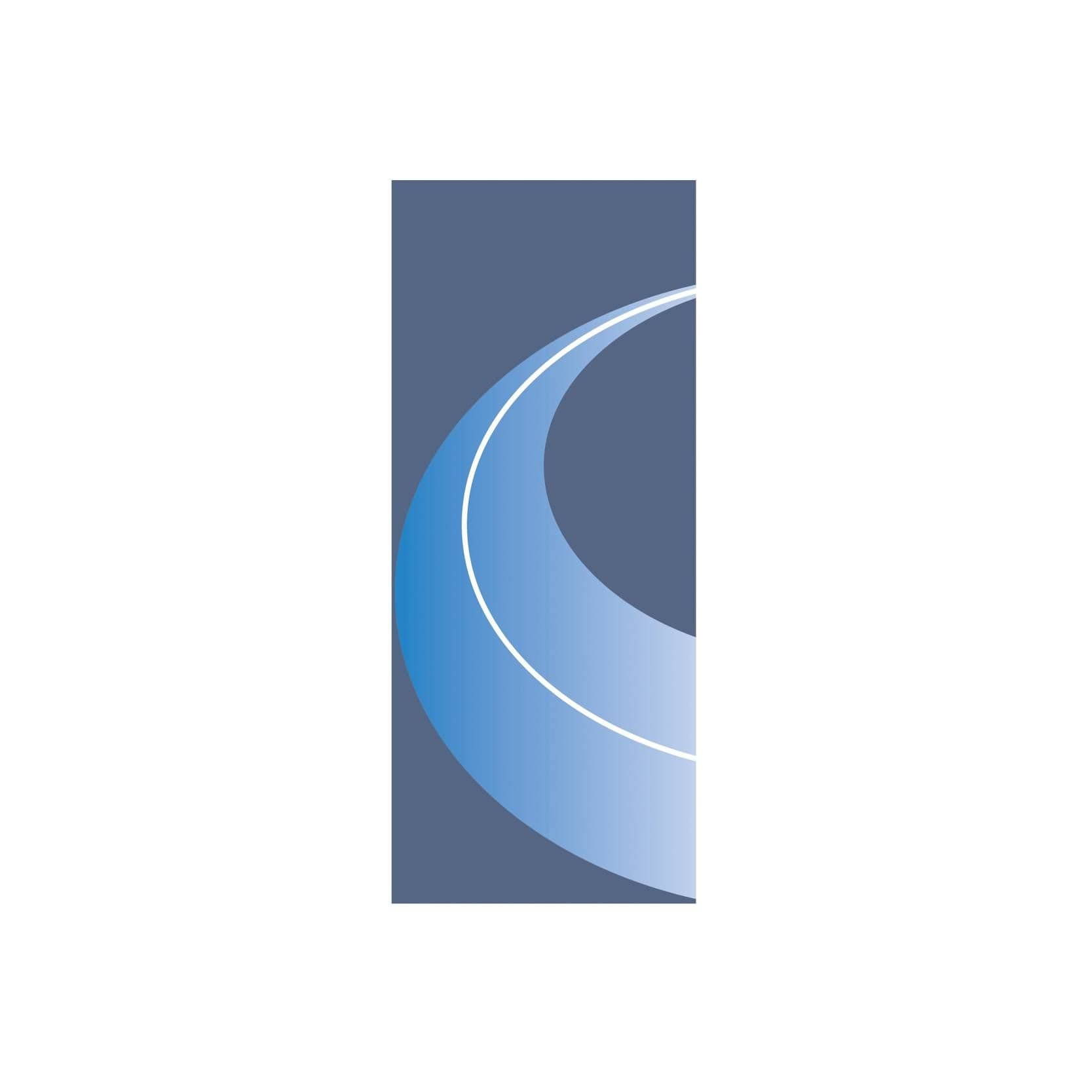 American Immigration Council color logo
