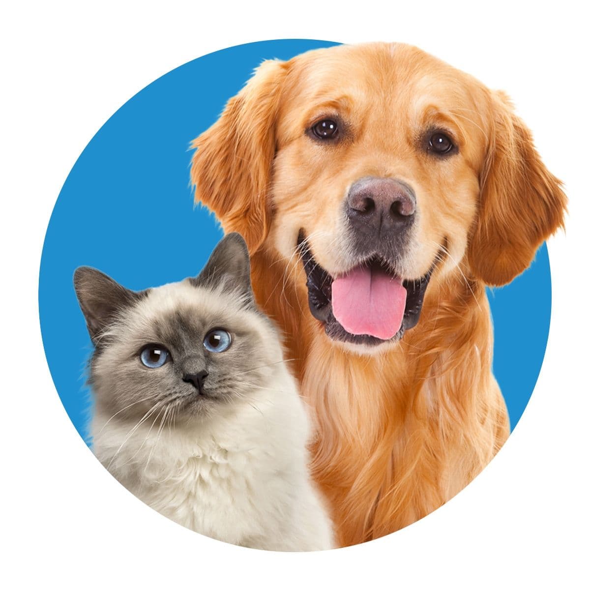 Innovetive Petcare color logo