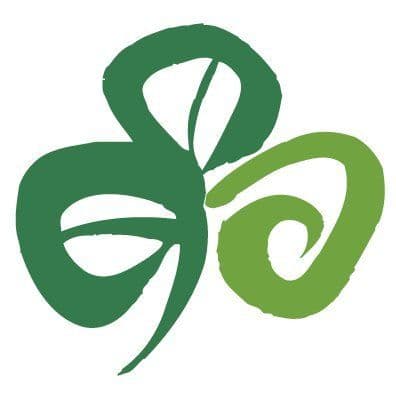 Tourism Ireland US color logo