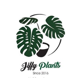Jiffy Plants