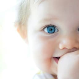Kidilys