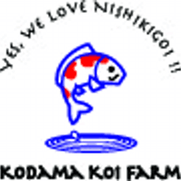 Kodama Koi Farm