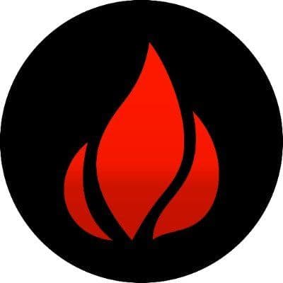 Lighter USA color logo