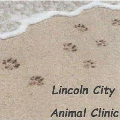 Lincoln City AC color logo