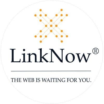 LinkNow color logo