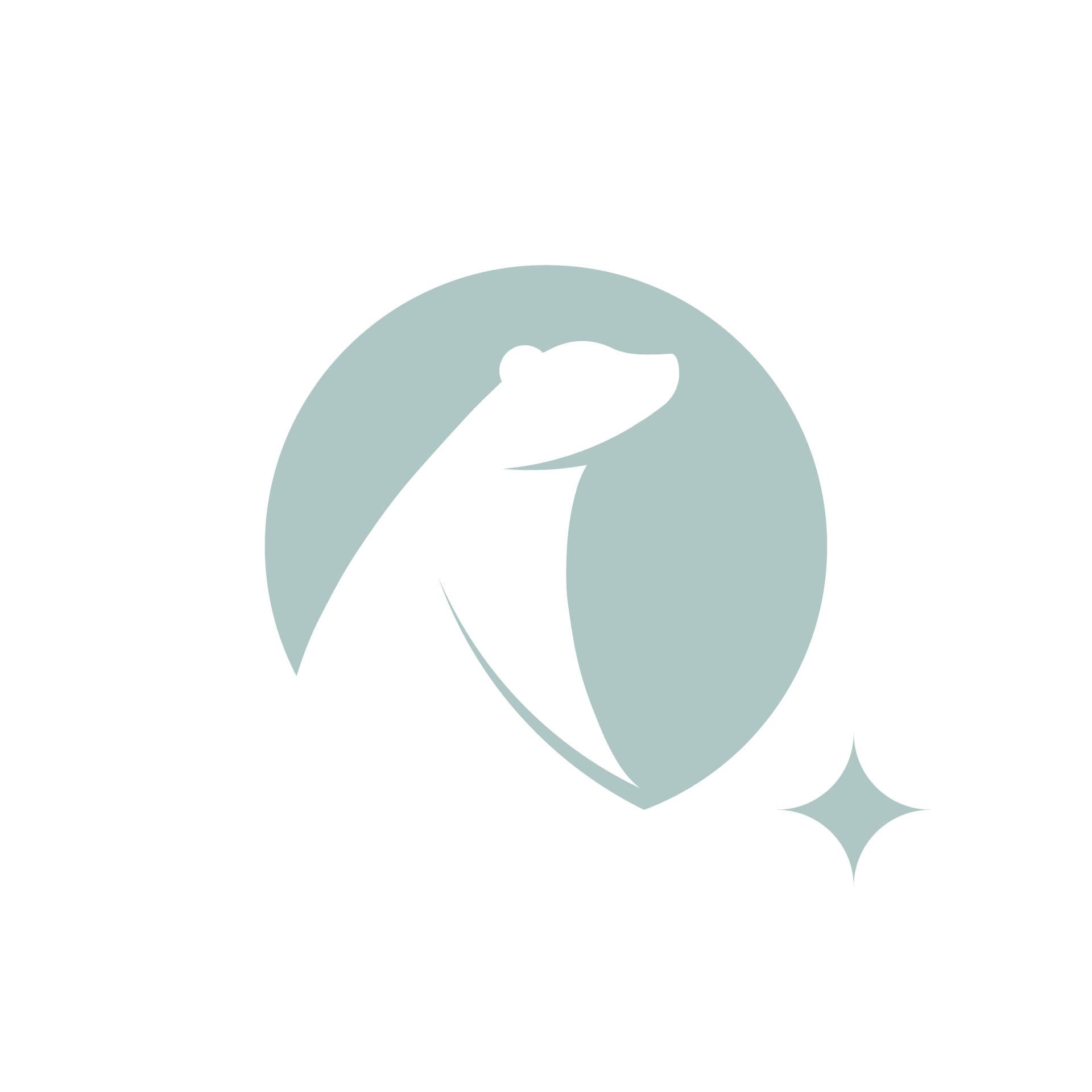 littlebigFuture color logo