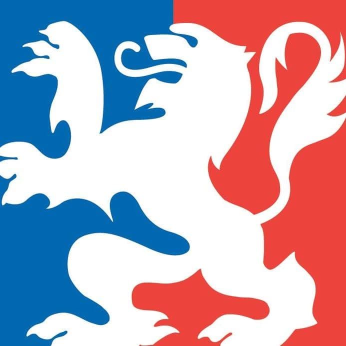 Ville de Lyon color logo
