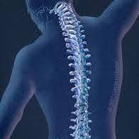 Madison Spine & PT