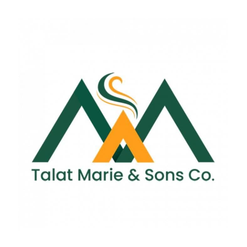 شركة طلعت عبد الجواد مرعي واولاده color logo