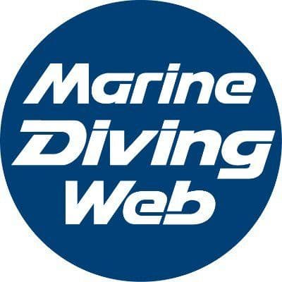 マリンダイビングWeb color logo