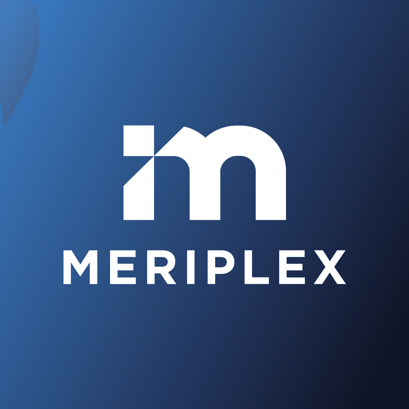 Meriplex color logo