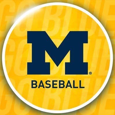 Michigan Baseball color logo