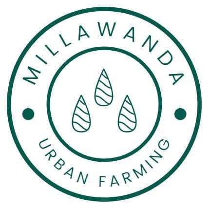 Millawanda color logo