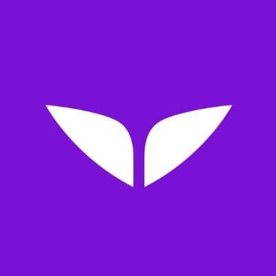 Mindvalley color logo