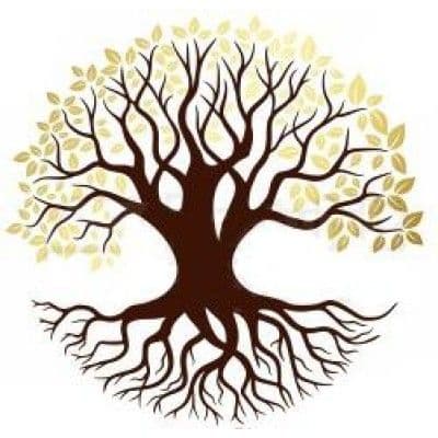 Mir Doğa Ürünleri color logo