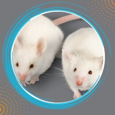 Mutant Mouse Resource & Research Centers MMRRC color logo