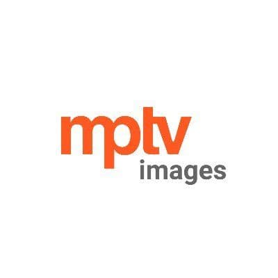 mptv Images color logo