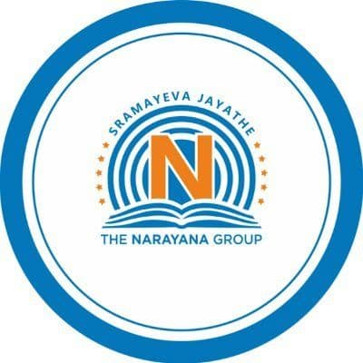 The Narayana Group color logo