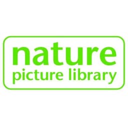 NaturePictureLibrary