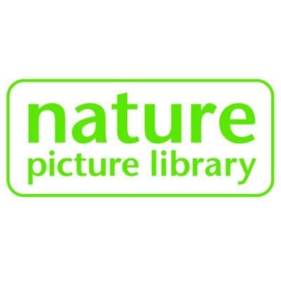 NaturePictureLibrary color logo